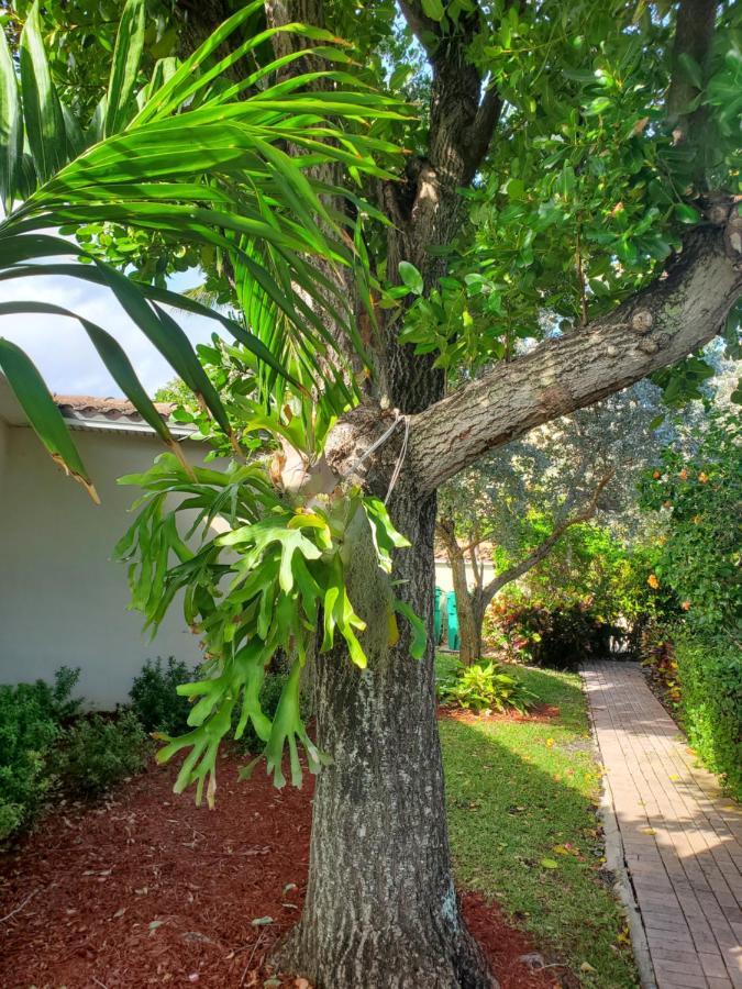 Ocean Side Resort - Updated Villa Хиллсборо-Бич Экстерьер фото